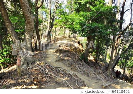 Kanagawa Prefecture Atsugi City Iiyama Hakusan Forest Park Hiking Course Hakusan Summit and Onezaka Branch 64118461