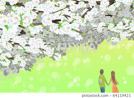 Cherry blossom illustration Cherry blossom illustration 64119421