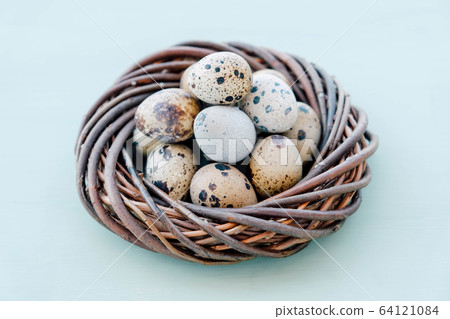Beautiful colorful quail eggs in bird nest on light blue background. Beautiful colorful quail eggs in bird nest on light blue background. 64121084