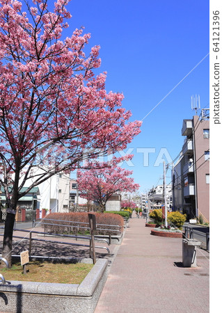Toyoko Flower Green Road 64121396