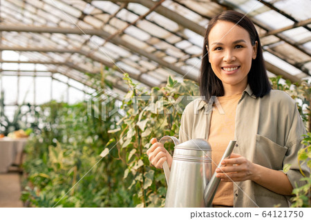 Asian gardener in greenhouse 64121750