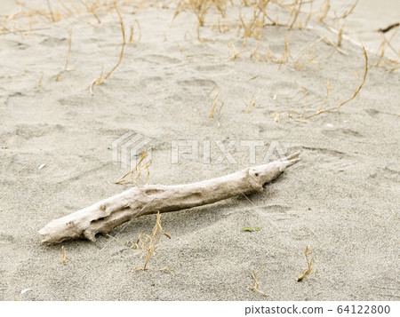 一棵白色而美麗的浮木 一棵白色而美麗的浮木 64122800
