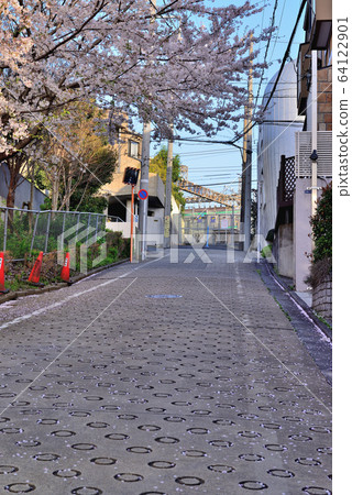 Residential area around cherry blossom trees near Yoyogiuehara Station Residential area around cherry blossom trees near Yoyogiuehara Station 64122901