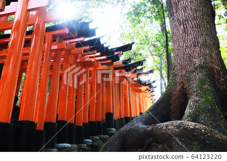 京都/稻荷山Senbon Torii 京都/稻荷山Senbon Torii 64123220
