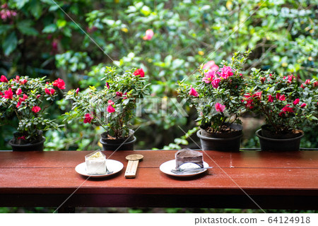 Chiangmai,Thailand-October 30,2018 Chiangmai,Thailand-October 30,2018 64124918