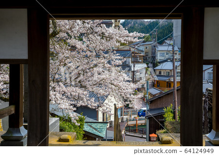 Shopukuji的湯村溫泉風光盛開的櫻花 Shopukuji的湯村溫泉風光盛開的櫻花 64124949