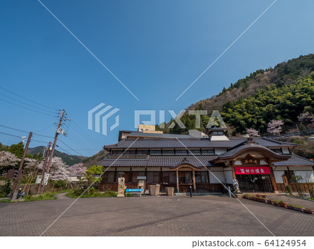 櫻花在Yakushiyu的Yumura Onsen盛開 櫻花在Yakushiyu的Yumura Onsen盛開 64124954