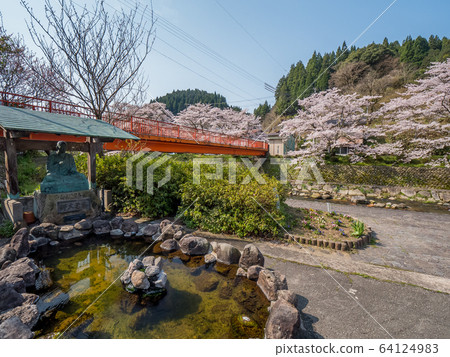 湯村溫泉，櫻花盛開 64124983