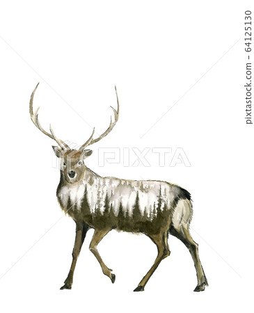 Watercolor deer male 64125130