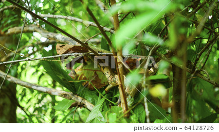 Philippine glasses 64128726