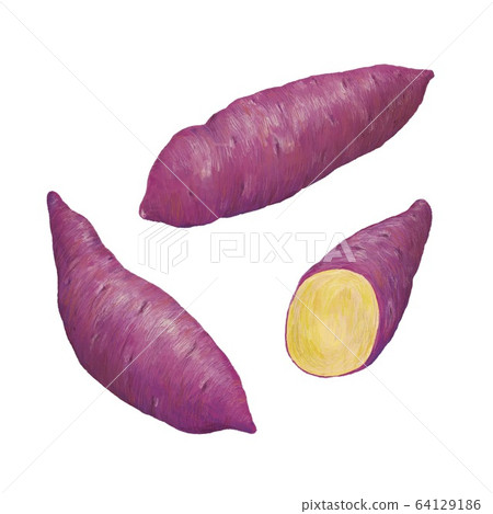 sweet potato sweet potato 64129186