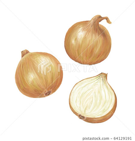onion onion 64129191