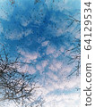Beautiful blue cloudy sky with flying birds and tree branches 64129534