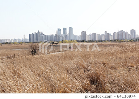 索拉濕地生態公園 索拉濕地生態公園 64130974