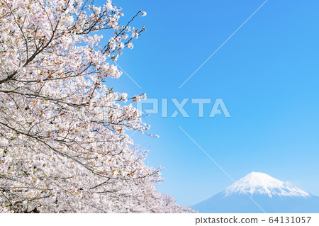 靜岡縣富士市 靜岡縣富士市 64131057
