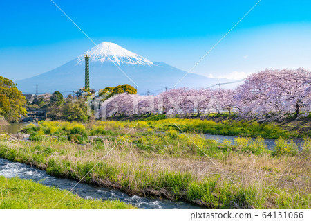 Fuji city, Shizuoka prefecture Fuji city, Shizuoka prefecture 64131066