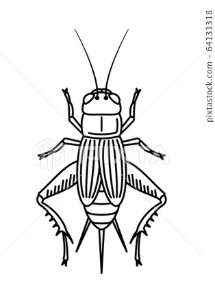 蟋蟀 蟋蟀 64131318