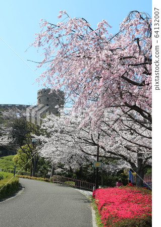 Spring landscape with cherry blossoms in Matsuyama General Park Spring landscape with cherry blossoms in Matsuyama General Park 64132007