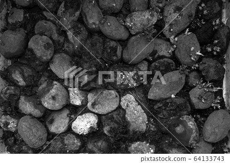 Pile of rotting potatoes waste 64133743