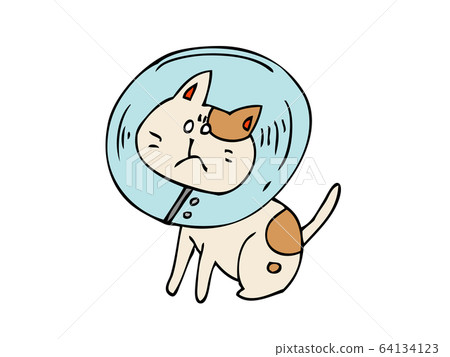 Cat wearing color Cat wearing color 64134123