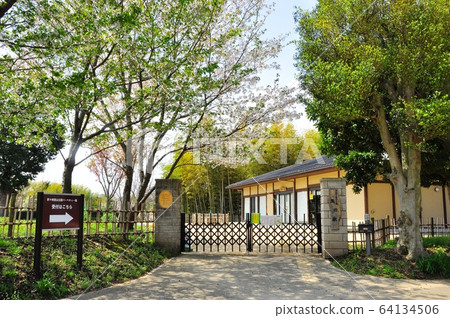 Chigasaki City, Kanagawa Prefectural Chigasaki Satoyama Park Village house, fresh greenery and cherry blossoms Chigasaki City, Kanagawa Prefectural Chigasaki Satoyama Park Village house, fresh greenery and cherry blossoms 64134506