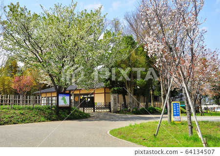 Chigasaki City, Kanagawa Prefectural Chigasaki Satoyama Park Village house, fresh greenery and cherry blossoms Chigasaki City, Kanagawa Prefectural Chigasaki Satoyama Park Village house, fresh greenery and cherry blossoms 64134507