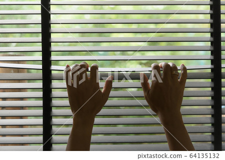 Watch the nature through the blinds. Peep through 64135132