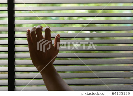 Watch the nature through the blinds. Peep through 64135139