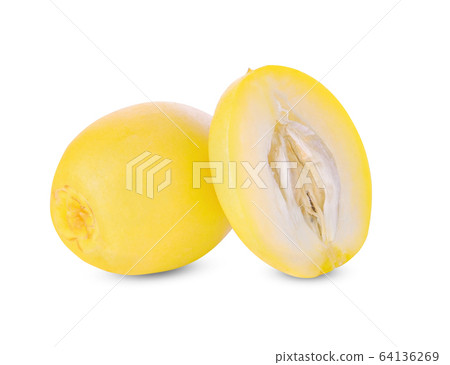 Phoenix dactylifera on a white background 64136269