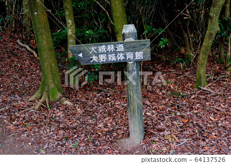 大城山鹽寺福岡縣登山 大城山鹽寺福岡縣登山 64137526