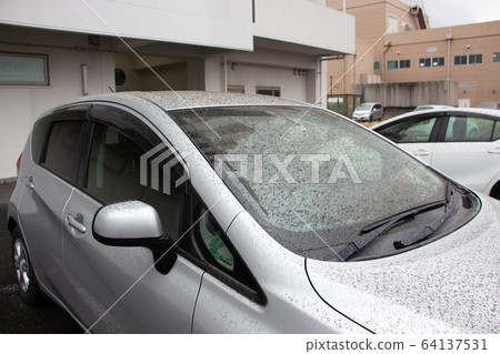 Ash of Sakurajima piled up in a car Ash of Sakurajima 64137531