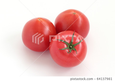 Koda Tomato 64137981