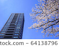 櫻花和建築 64138796