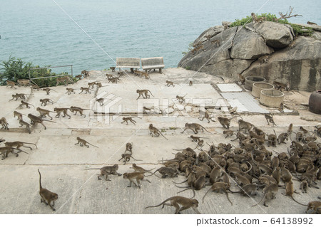 ASIA THAILAND HUA HIN WAT KHAO TAKIAP 64138992