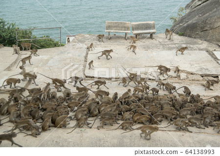 ASIA THAILAND HUA HIN WAT KHAO TAKIAP 64138993