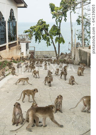 ASIA THAILAND HUA HIN WAT KHAO TAKIAP 64139003