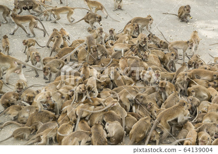 ASIA THAILAND HUA HIN WAT KHAO TAKIAP 64139004