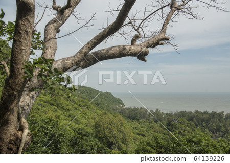 ASIA THAILAND KHAO SAM ROI YOT NATIONAL PARK 64139226