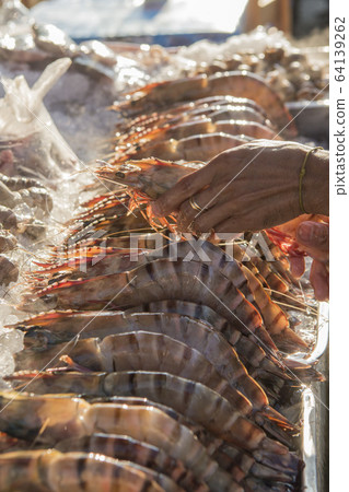 ASIA THAILAND HUA HIN NIGHT MARKET SEAFOOD ASIA THAILAND HUA HIN NIGHT MARKET SEAFOOD 64139262