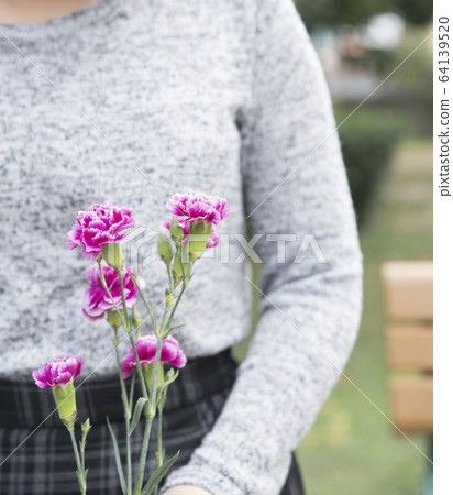 Mother's day carnation Mother's day carnation 64139520