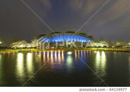 Denka Big Swan Stadium (blue light up) 64139977