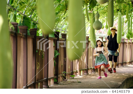 Hamyang-gun, Gyeongsangnam-do, mother and daughter on a rural trip Hamyang-gun, Gyeongsangnam-do, mother and daughter on a rural trip 64140379