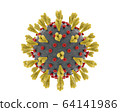 New coronavirus causing covid-19 isolated on white background. 64141986