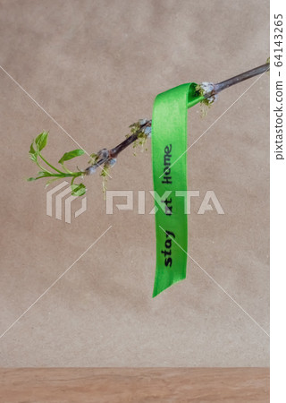 The inscription stay home and a branch with leaves 64143265