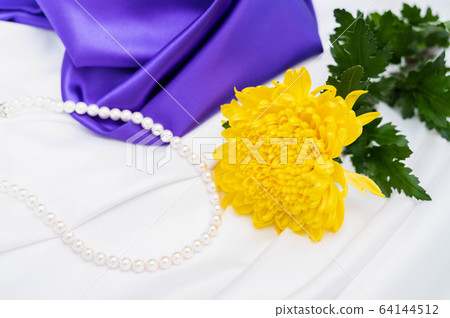 佛陀花黃色菊花花 佛陀花黃色菊花花 64144512