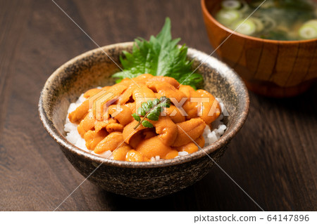 Sea urchin bowl 64147896