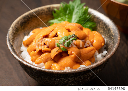 Sea urchin bowl 64147898