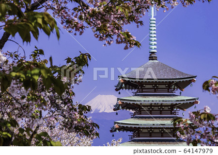 (靜岡縣) (靜岡縣) 64147979