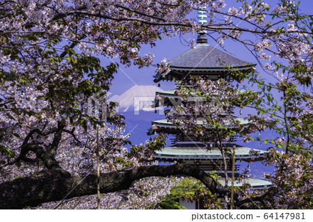 (靜岡縣) (靜岡縣) 64147981