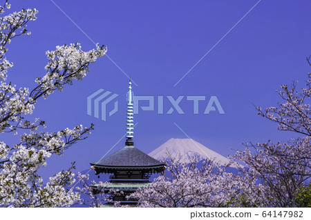 (Shizuoka Prefecture) Mt. (Shizuoka Prefecture) Mt. 64147982